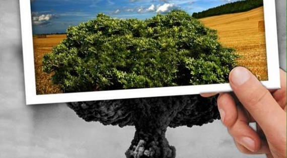 آخرُ قاربٍ للنّجاة