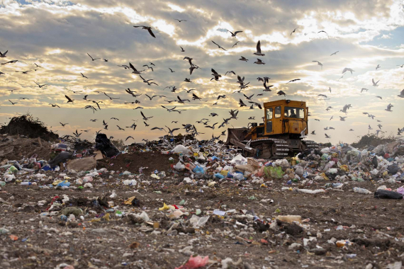 الغول والتاريخ