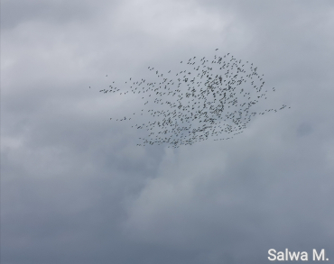 لحظةٌ عابرة؟