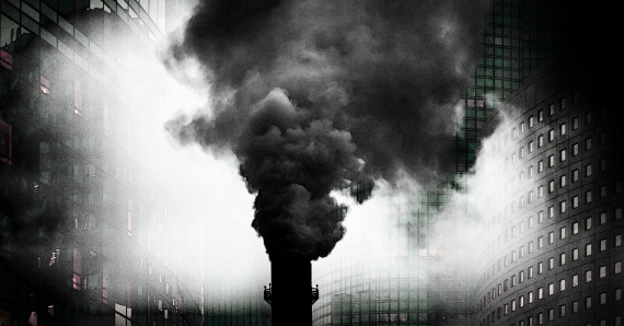 موقع الرأسمالية في معركة الحياة